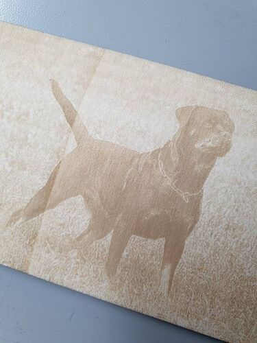 Lasergravur Hund auf Holz